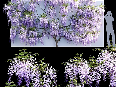 Artistic Wisteria Flower Decorative Ornament Set for Home Indoor Decoration 3d model