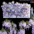Artistic Wisteria Flower Decorative Ornament Set for Home Indoor Decoration