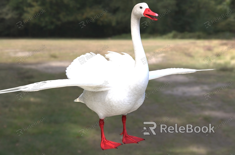 flat-billed swan flat-billed goose animal creature model