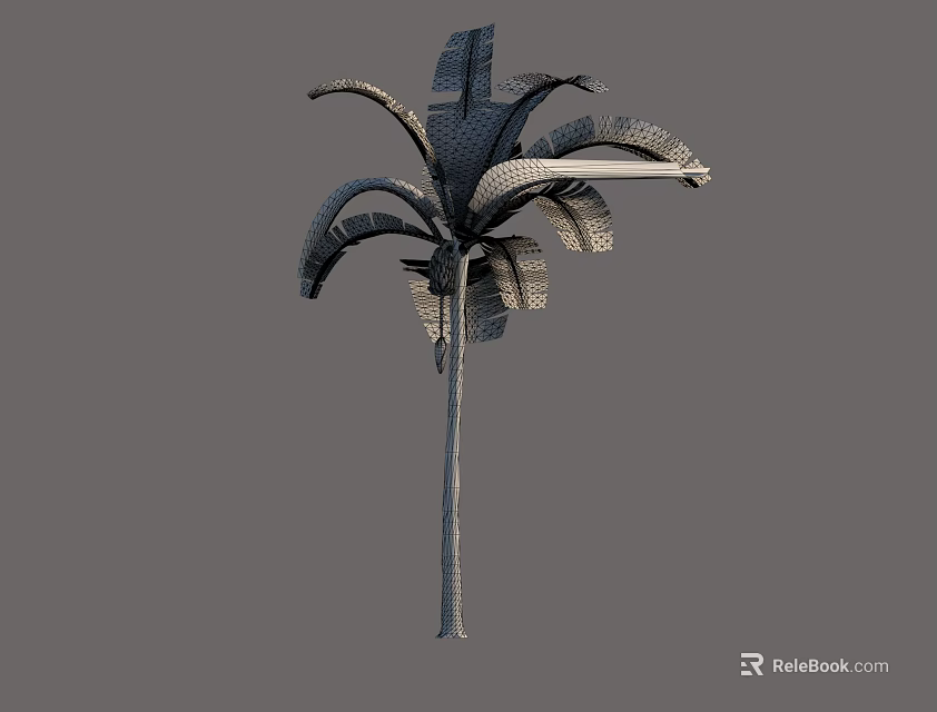 Palm Tree With Tall Trunk And Broad Textured Fronds Structure 3d model 