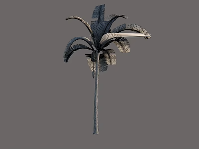 Palm Tree With Tall Trunk And Broad Textured Fronds Structure 3d model
