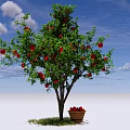 Red Fruit Bearing Tree With Basket of Fruits Under Against Blue Sky and White Clouds