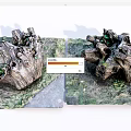 Natural Stone and Wood Decorative Tree Stumps With Green Moss and Small Plants