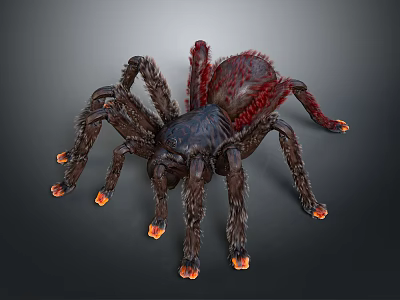 Realistic 3D Spider Model With Black Body Red Back And Orange Leg Tips 3d model