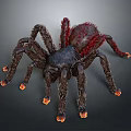 Realistic 3D Spider Model With Black Body Red Back And Orange Leg Tips