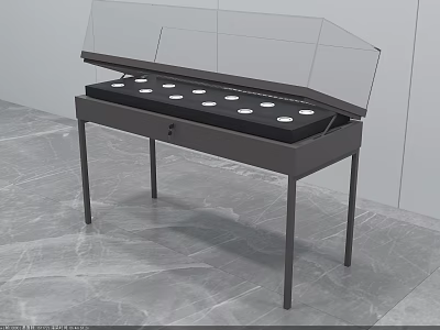 Dark Colored Display Island Cabinet With Transparent Lid And Circular Compartments 3d model