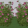 Vibrant Garden Shrub With Lush Green Foliage And Pink Blooms In Landscaped Yard