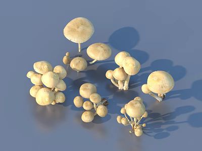 Light Colored Mushrooms In Various Sizes With Clusters And Shadows On Gray Background 3d model
