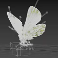Realistic White Butterfly With Green Patterns On Wings Against Black Background 3d model