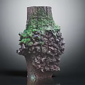 Green Moss Plants Growing On Textured Tree Stump With Natural Foliage