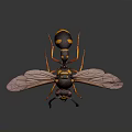 3D Rendered Wasp With Yellow And Black Stripes And Pink Wings