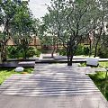 Garden Landscape Design With Lush Trees Green Lawn Wooden Walkway And Circular Stone Features