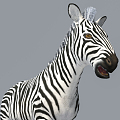 Modern Crocodile Zebra Crocodile 3d model