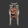 Medical Device 3D Cow Anatomy Model With Skeleton And Organs For Veterinary Education