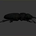 Dark Blue Iridescent Beetle With Detailed Body Structure Legs And Antennae On Grey Gradient Background