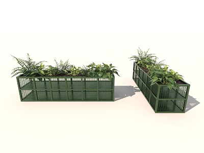 Green Grid Style Garden Planters With Ferns And Leafy Plants For Decor 3d model