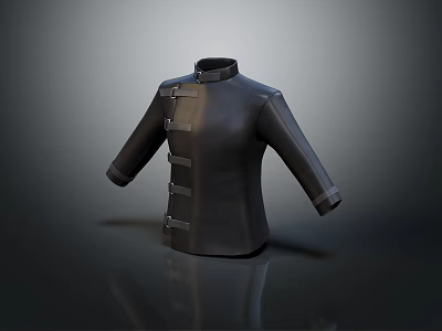 Chinese Style Black Coat With Stand Collar And Frog Buttons Design 3d model