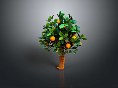 Healthy Orange Tree With Dense Green Leaves And Fresh Ripe Orange Fruits 3d model