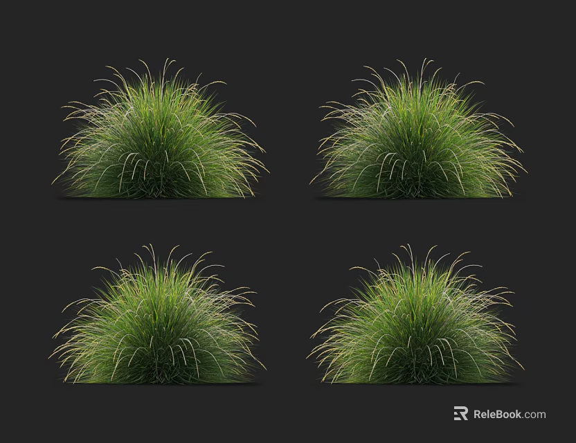 Vibrant Green Ornamental Grass For Lush Decorative Garden Landscaping Design 3d model 