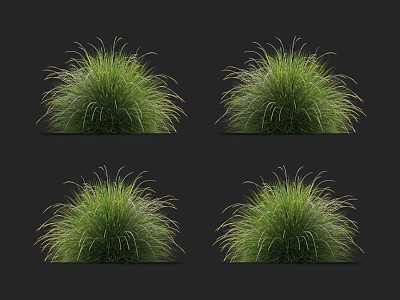 Vibrant Green Ornamental Grass For Lush Decorative Garden Landscaping Design 3d model