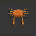 Orange Crab with Large Purple Tipped Claws on Dark Background like Detailed Texture and Reflection