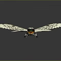 White Butterfly With Black Spots On Spread Wings And Colorful Body On Gray Background