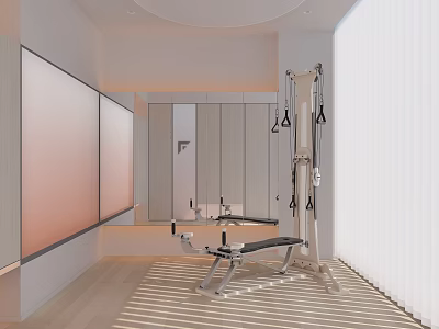 Modern Home Gym With Weight Bench Suspension Trainer Bright Lighting Large Windows And Wooden Flooring 3d model