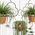 Hanging Basket Plants with Cloud Shaped Designs Ferns Trailing Foliage Black Golden and Terracotta