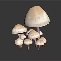 Group of White Mushrooms in Various Sizes on Black Background with Reflections