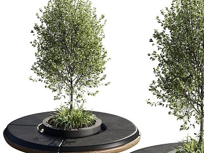 Modern gardening sketch backyard stone concrete furniture outdoor 3d model