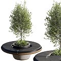 Modern gardening sketch backyard stone concrete furniture outdoor 3d model