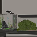 Modern Glass Aquariums With Butterfly Fish Aquatic Plants Rocks Decorative Trees And Small Fish