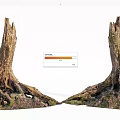 Weathered Wood Stumps With Stone Roots And Natural Soil Texture