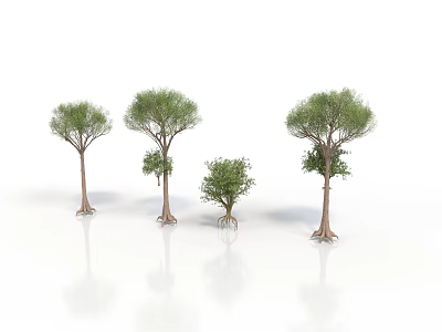 Various Sizes of Trees with Green Foliage Brown Trunks and White Background Reflections 3d model