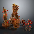 Unique Decorative Plants With Brown Stems And Red Fruits For Artistic