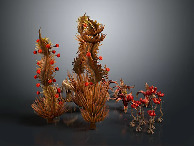 Unique Decorative Plants With Brown Stems And Red Fruits For Artistic 3d model