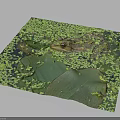 Frog Resting on Green Lily Pad Amidst Duckweed Covered Water Surface