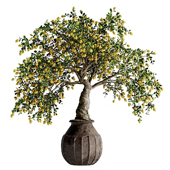Modern Bonsai Lemon Tree 3d model