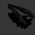 Dinosaur Skull Fossil With Detailed Skeletal Structure And Sharp Teeth On Black Background
