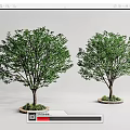 Two Green Arbor Trees With Brown Trunks Round Bases And Small Plants On Gray Background