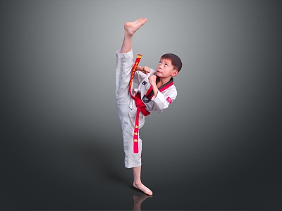 Modern Boy Taekwondo Female Taekwondo Athletes Sanda Far Mobilize Free Fight 3d model