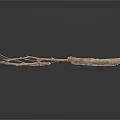 Collection of Natural Wooden Branches In Various Shapes And Sizes On White Background