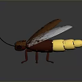 Realistic 3D Model of Copper Colored Flying Insect with Transparent Wings Antennae and Legs
