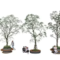 Tall Trees in Urban Public Space With Circular Seats and People Resting Walking Sitting