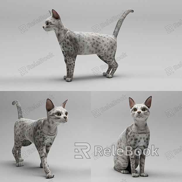 Modern Cat Pet Cat model