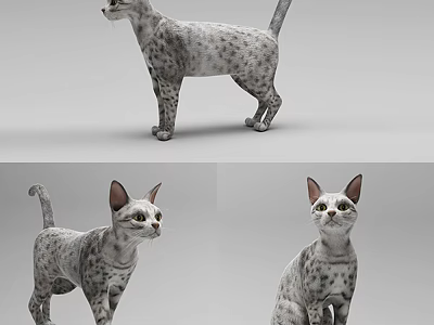 Gray And White Spotted Reptile In Various Poses Standing Front And Head Up 3d model