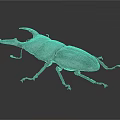 Stag Beetle With Large Prominent Horn And Dark Body Displayed On Gray Background