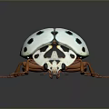 White Ladybug With Black Spots Orange Legs And Black And White Patterned Head 3d model
