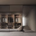 Modern Walk In Closet Interior With Metal Grille Doors And Storage
