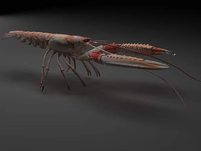 Colorful Marine Lobster With Long Antennas Large Claws And Vibrant Shell 3d model